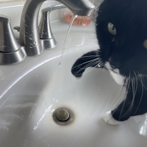 Fundraising Page: Audrey Levesque